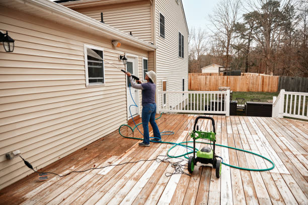 Best Exterior Home Cleaning  in Pelican Rapids, MN
