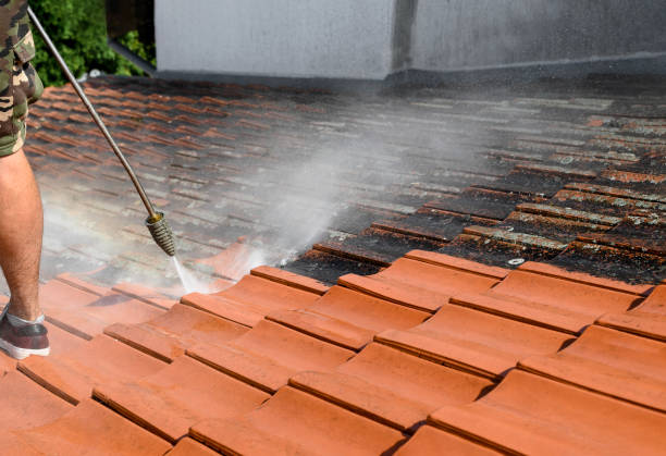 Pressure Washing Contractors in Pelican Rapids, MN