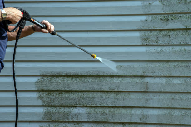Best Local Pressure Washing Services  in Pelican Rapids, MN