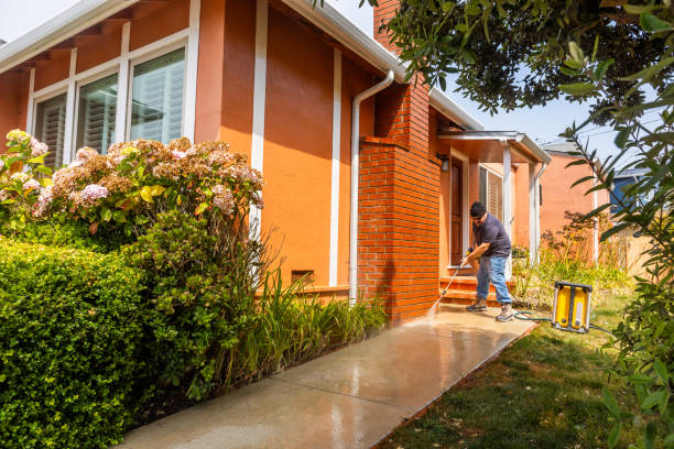 Best Concrete Pressure Washing  in Pelican Rapids, MN
