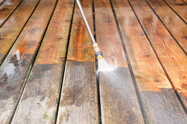 Best Exterior Home Cleaning  in Pelican Rapids, MN