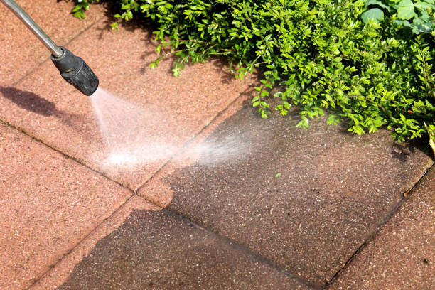 Best Affordable Pressure Washing  in Pelican Rapids, MN