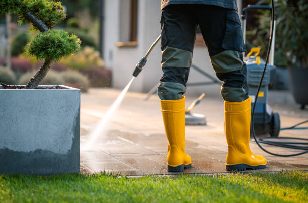 Best Commercial Building Pressure Washing  in Pelican Rapids, MN